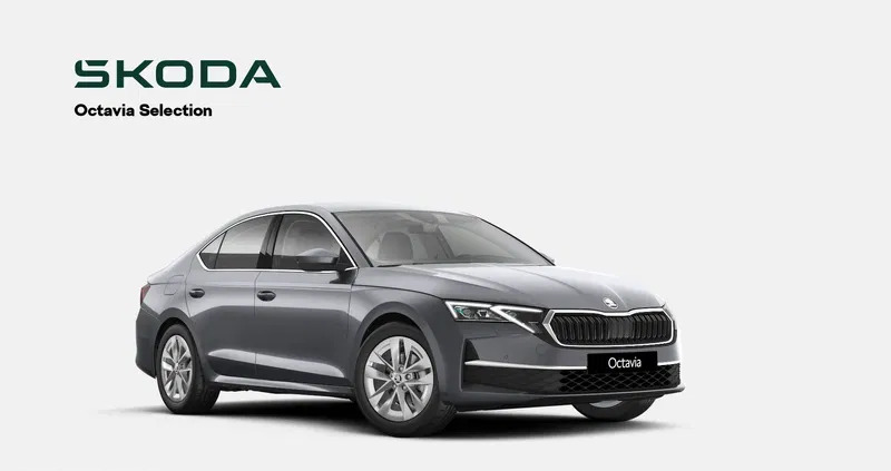 kujawsko-pomorskie Skoda Octavia cena 151450 przebieg: 1, rok produkcji 2024 z Tolkmicko